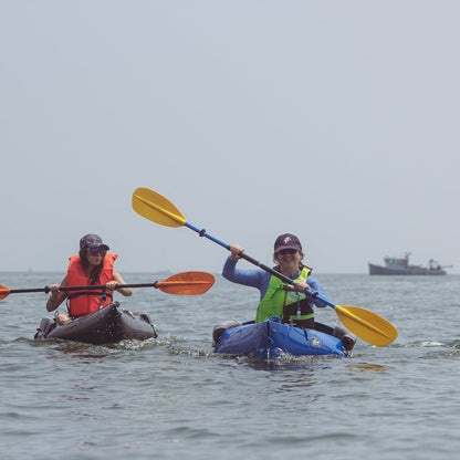 Get Out & Kayak To Cockenoe Island Bird Estuary