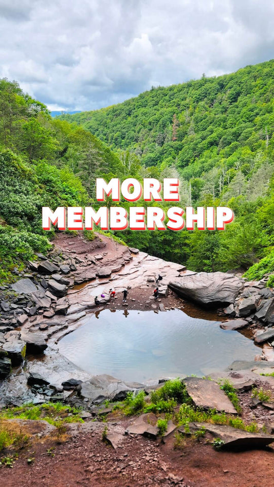 MORE Outerthere Membership