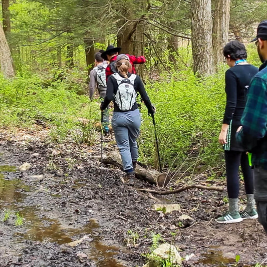 Hikelandish at Fahnestock State Park