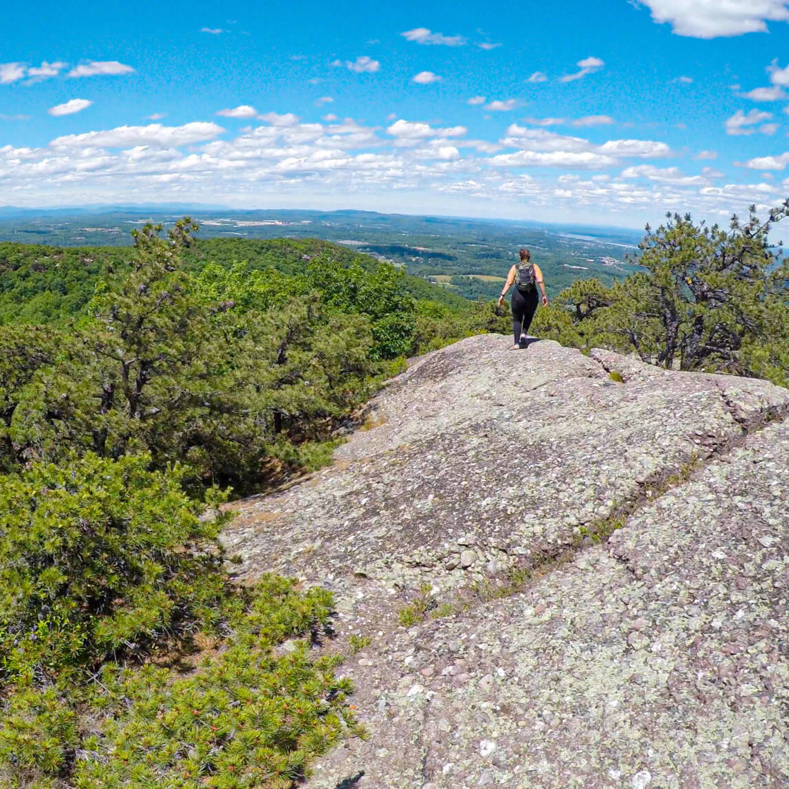 Trashmapping Schunnemunk State Park on National Trails Day (Jun 7 2025)