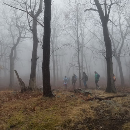 *NEW* Silent Forest Hike, A Tech-Free Experience