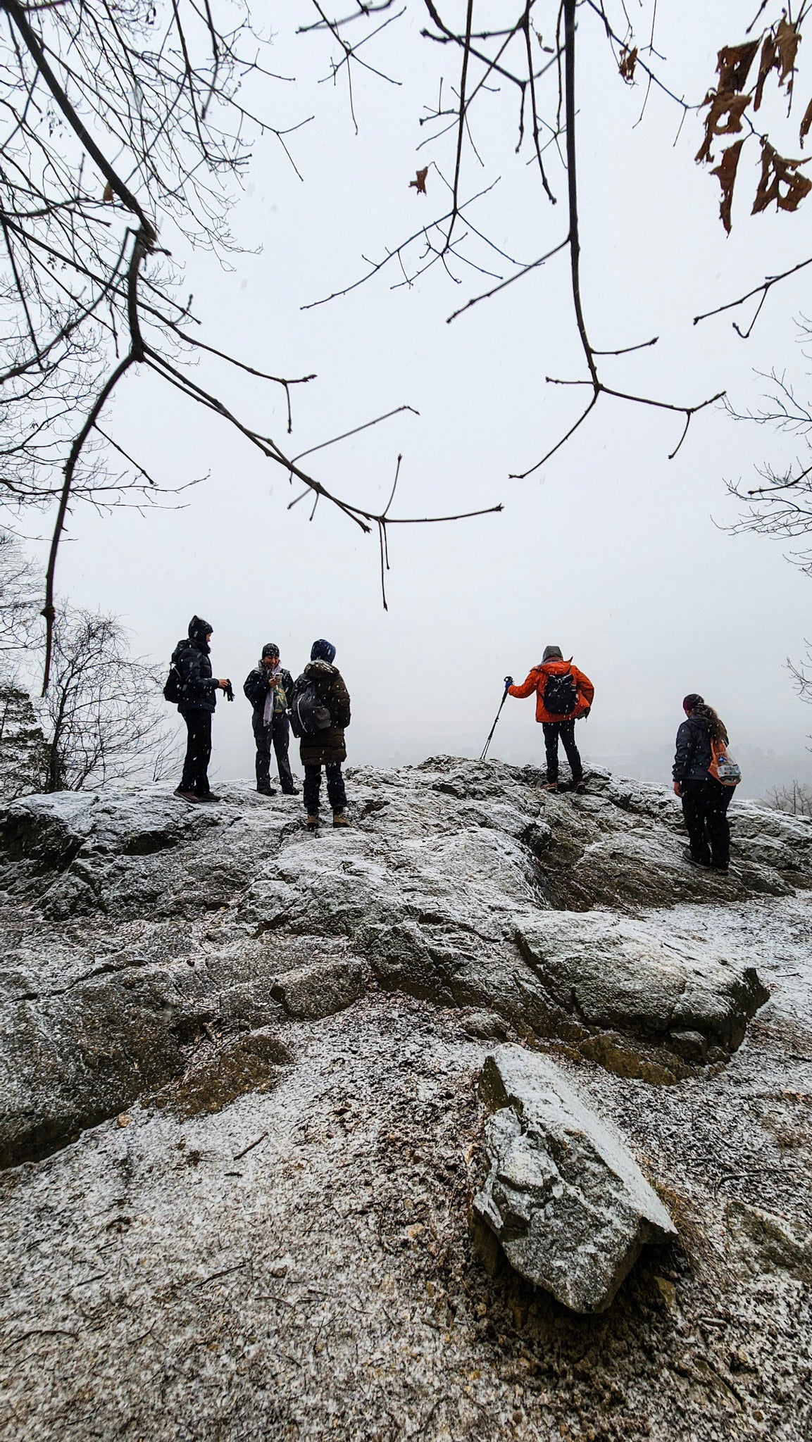 *NEW* Winter Group Hikes - Only $20, Including Pickup! (Select Dates)