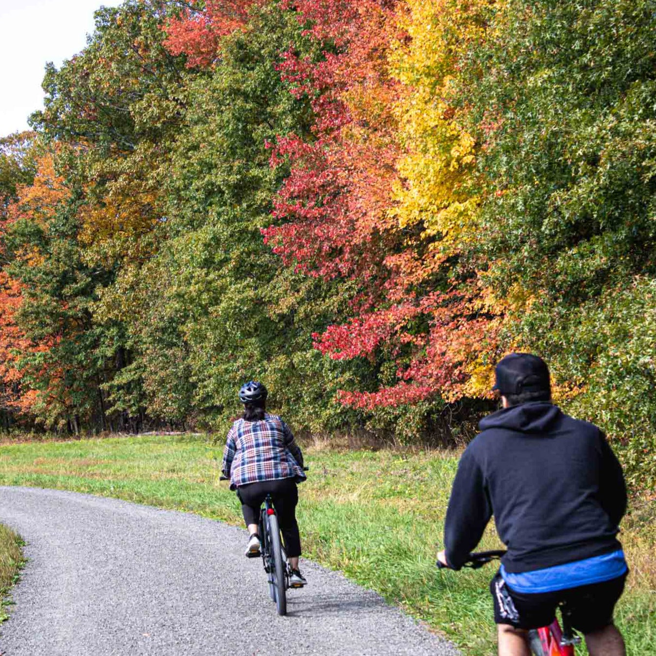 Easy Cool Spring/Fall Colors Bike Ride