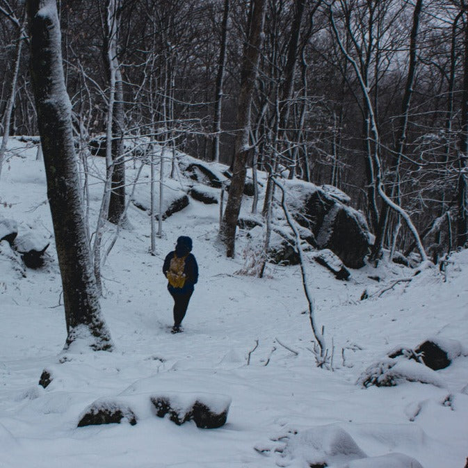 Hike & Scream It Out!