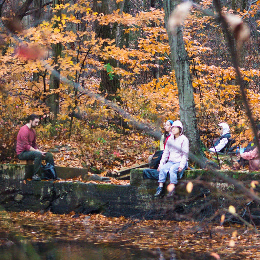 Forest Bathing Meditation at Sterling Forest (Nov 9 2025)