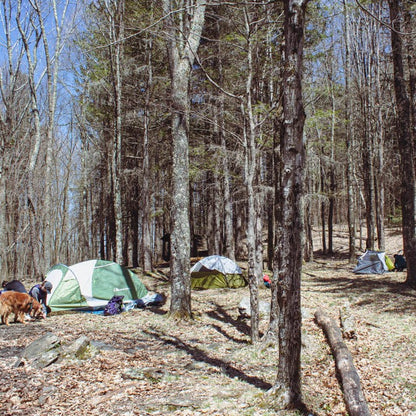 Beginner Camping