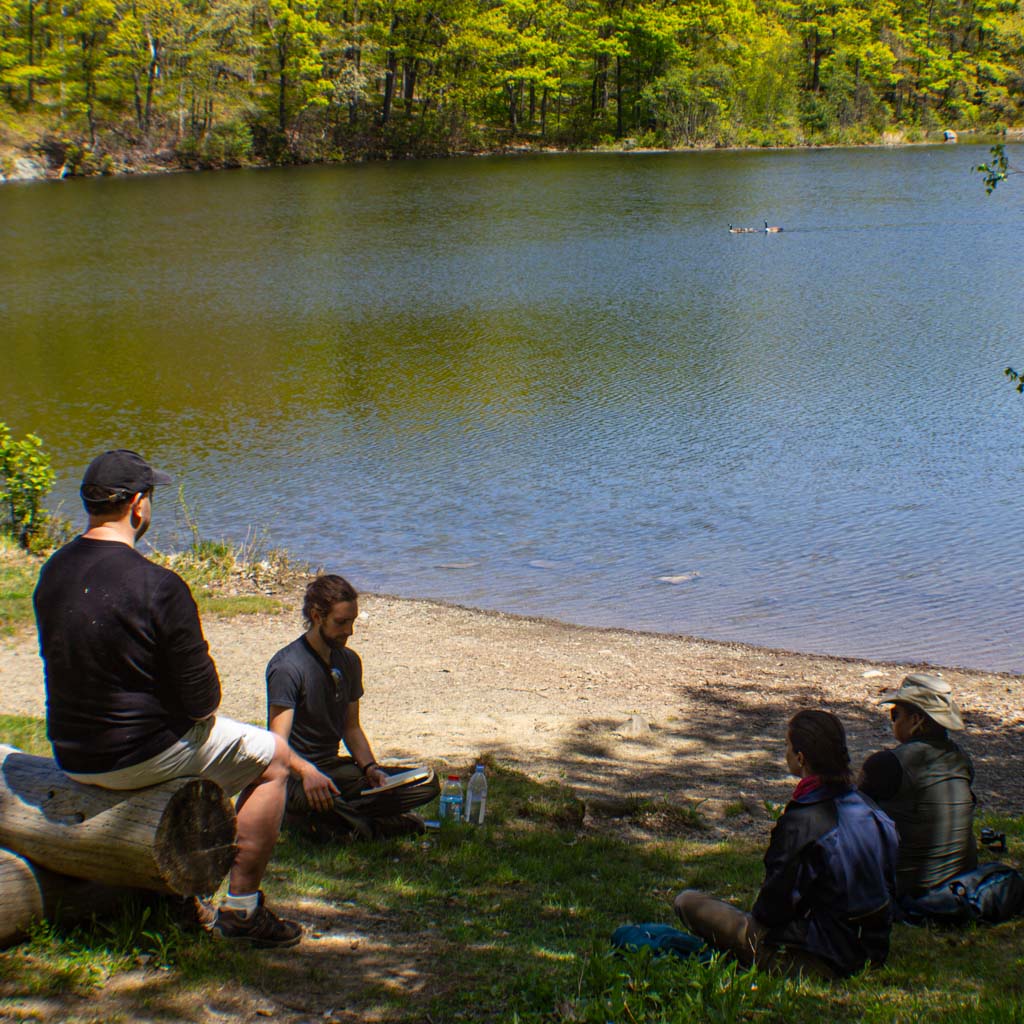 Hike & Forest Bathing Meditation