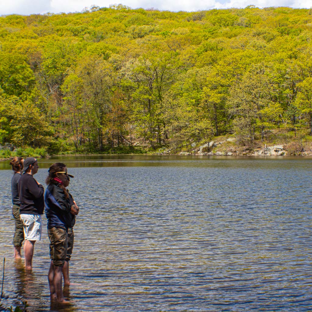 Hike & Forest Bathing Meditation