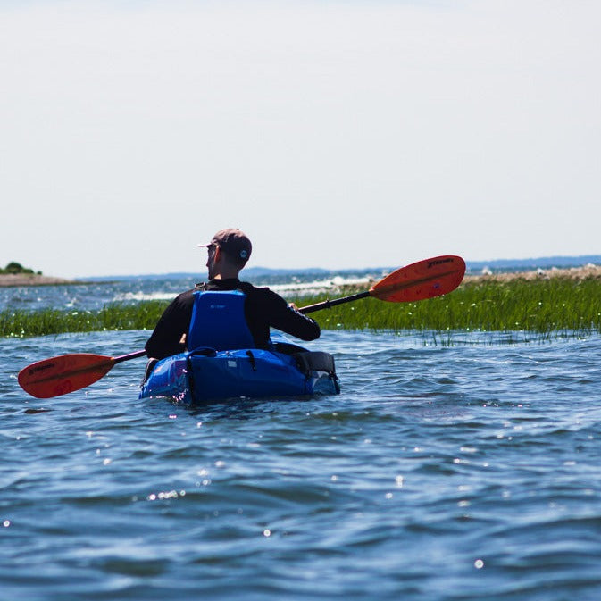 Get Out & Kayak To Cockenoe Island Bird Estuary