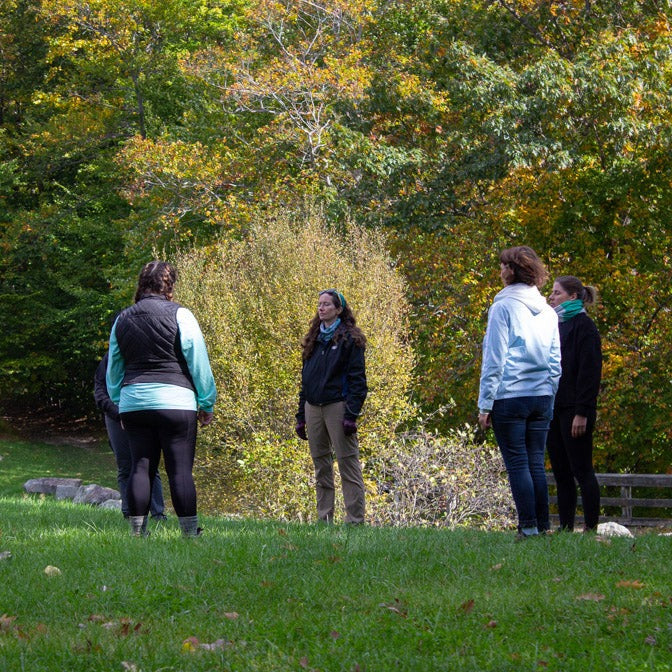 Hike & Forest Bathing Meditation