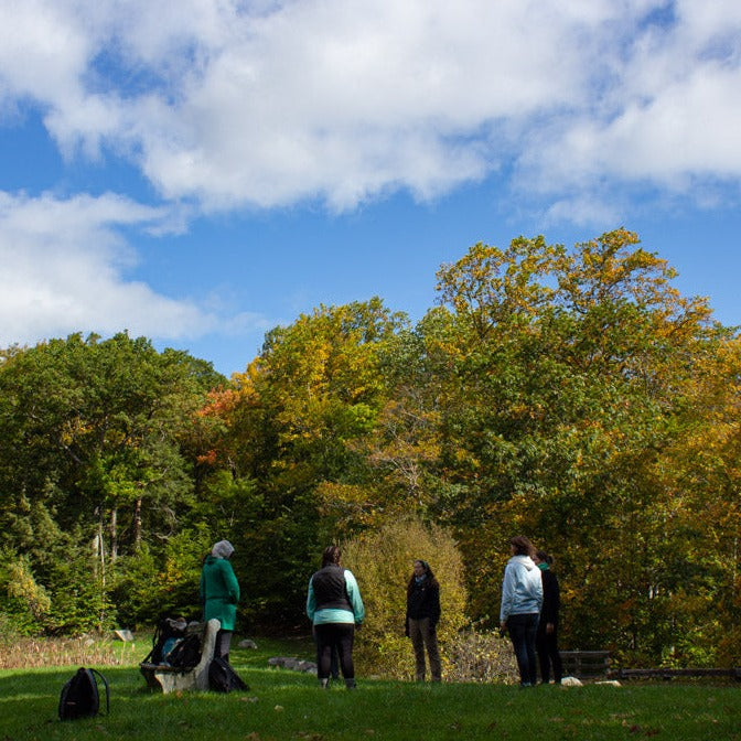 Hike & Forest Bathing Meditation